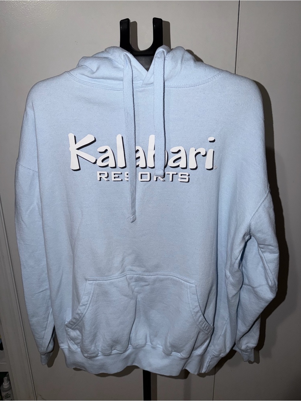 Light Blue Logo Hoodie for Men
